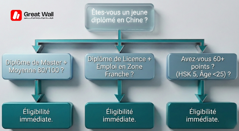 Infographie montrant les voies du Canal Vert permettant aux jeunes diplomes de contourner les regles d epxerience, d obtenir un visa de travail chinois et de reussir a rester en Chine Infographie montrant les voies du Canal Vert permettant aux jeunes diplomes de contourner les regles d epxerience, d obtenir un visa de travail chinois et de reussir a rester en Chine